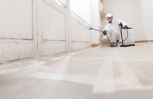 24/7 Emergency Mold Removal experts in Lake Bluff, IL